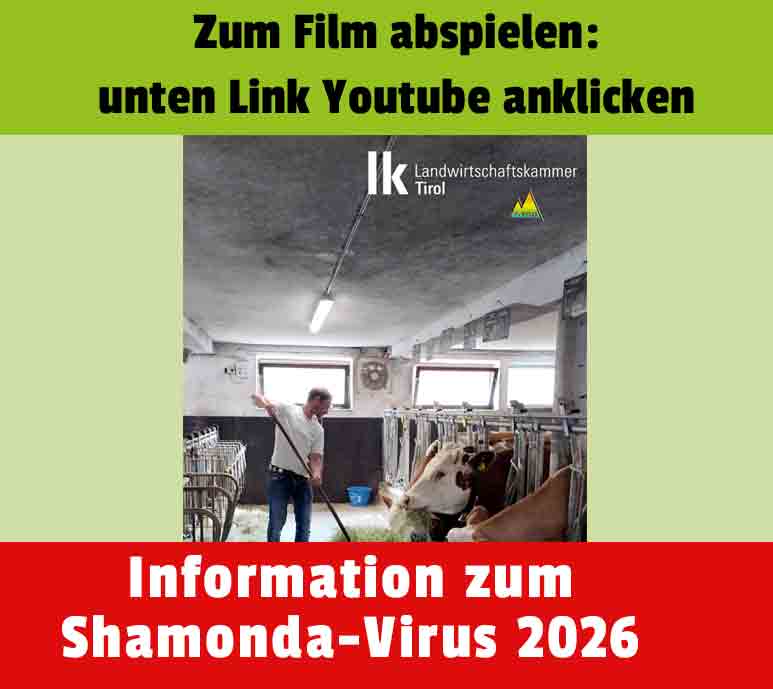 youtube shamonda virus t tgd