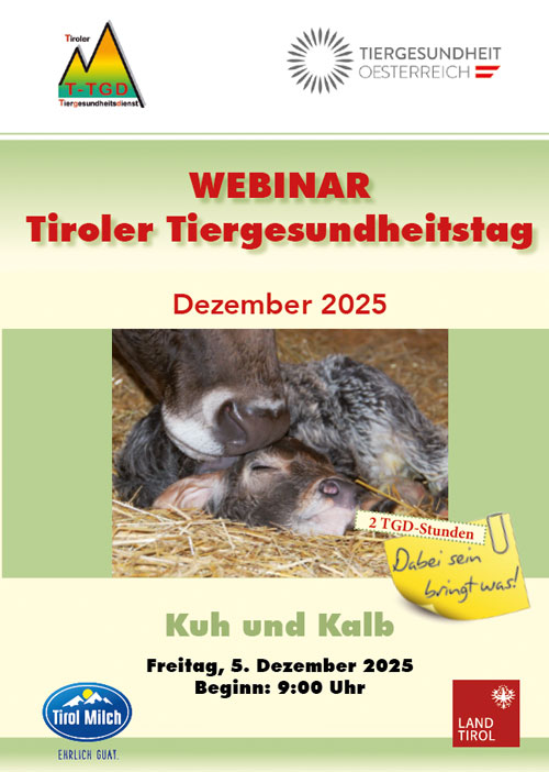 T TGD Gesundheitstag Dezember 2024