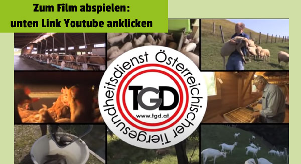 Imagefilm oetgd