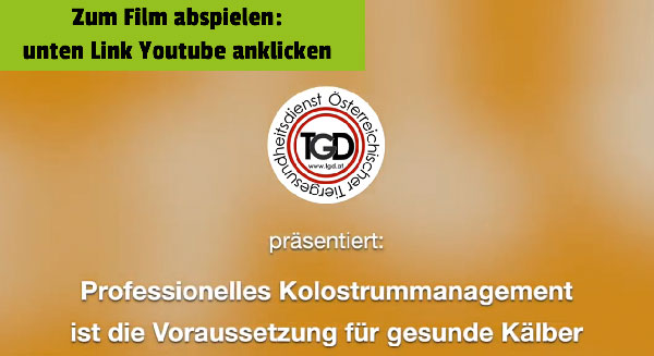 professionelles kolostrummanagement