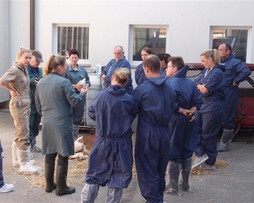 Workshops