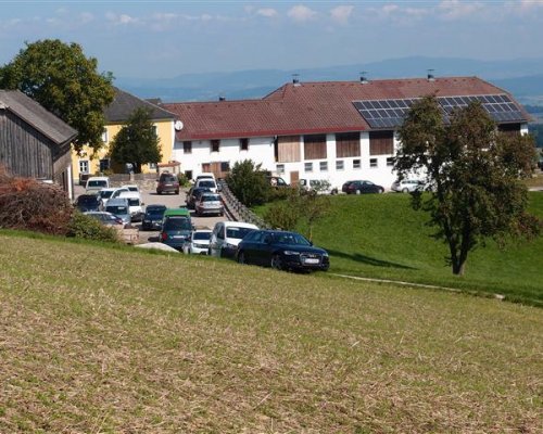 Workshops