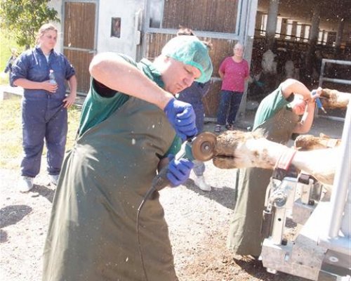 Workshops