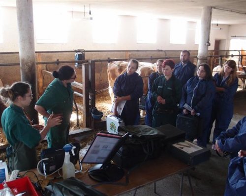 Workshops