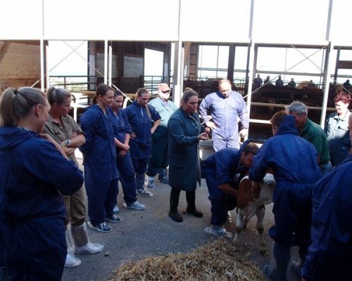 Workshops